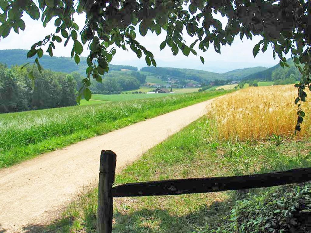 B&B Hersberg Dış mekan fotoğraf
